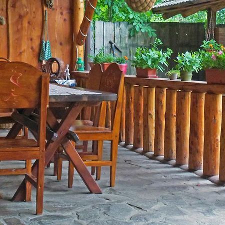 Sura Pietrei Craiului Hotel Zărneşti Екстериор снимка