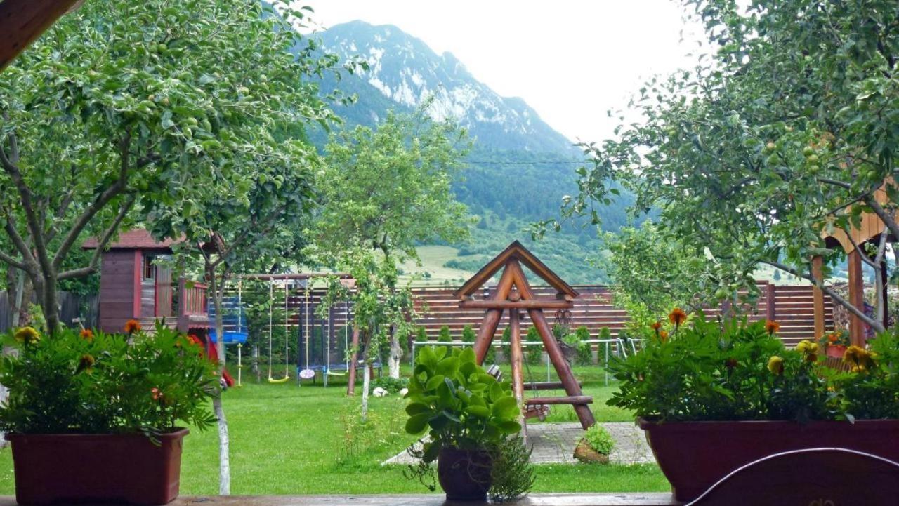 Sura Pietrei Craiului Hotel Zărneşti Екстериор снимка