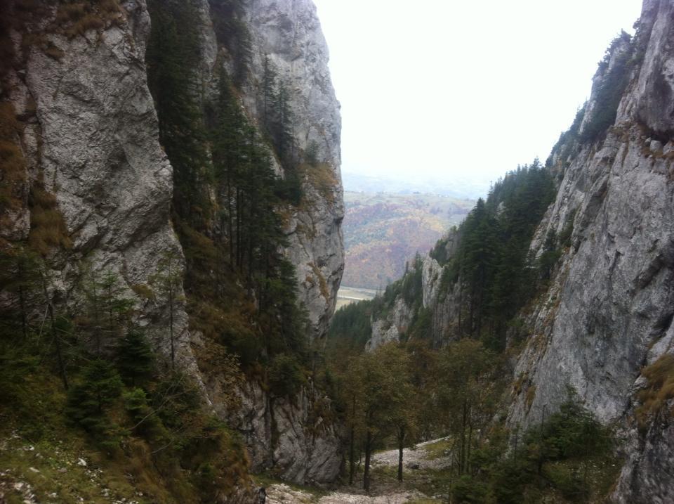Sura Pietrei Craiului Hotel Zărneşti Екстериор снимка