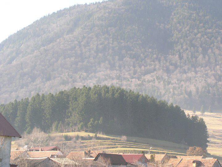 Sura Pietrei Craiului Hotel Zărneşti Екстериор снимка